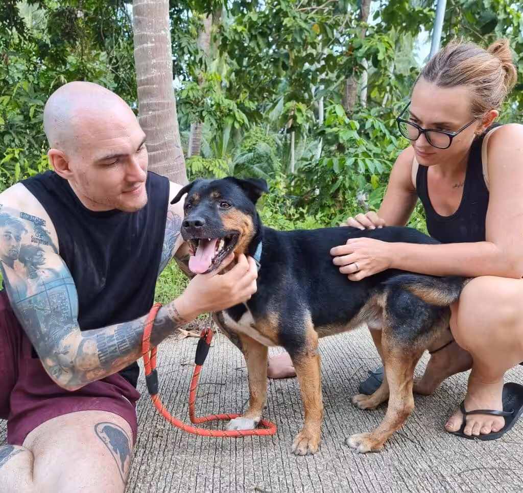 Koh Samui Adopted Dog Chippy 00006